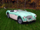[thumbnail of 1956 Austin Healey 100M-litegreen&white=mx=.jpg]